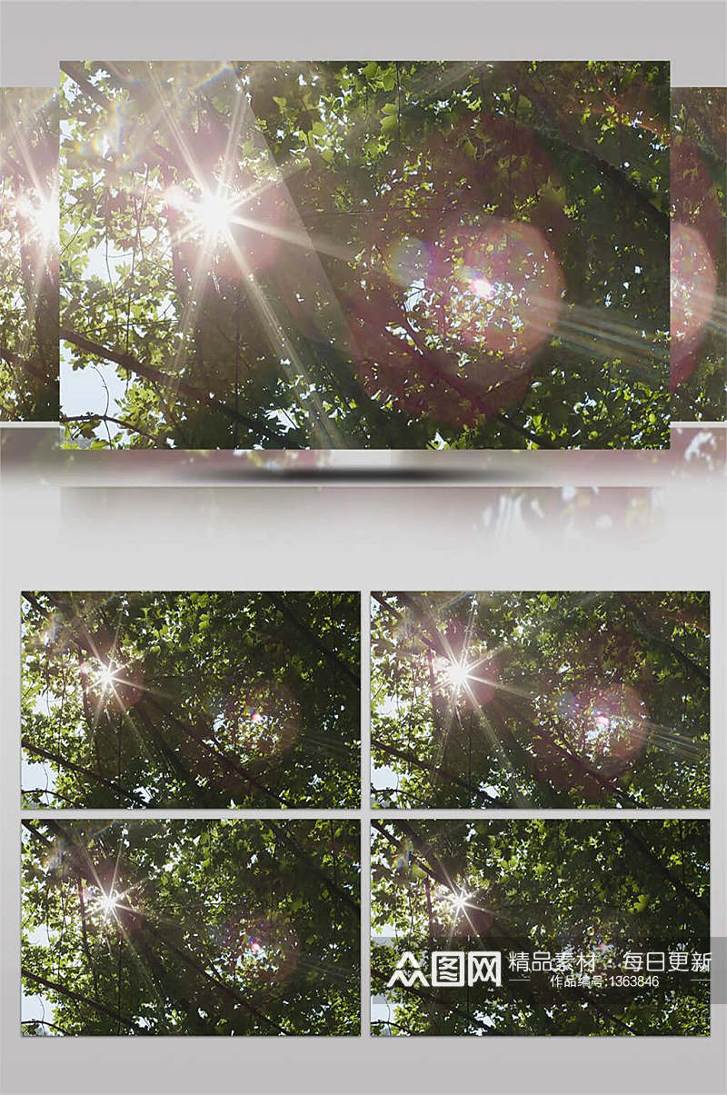阳光透过树林仰视实拍4K视频素材素材