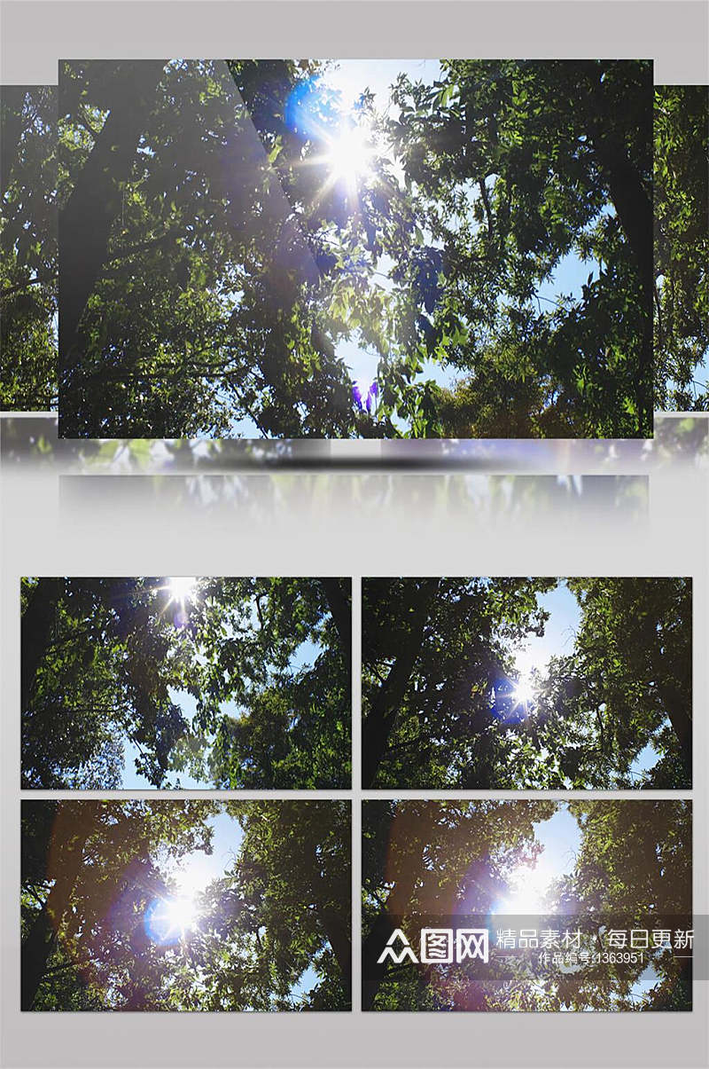晴天仰拍阳光穿过树林叶子实拍4K视频素材素材