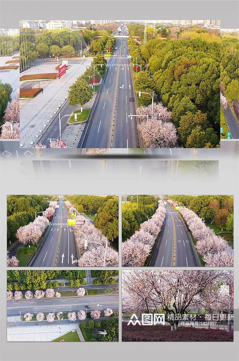 4K航拍城市樱花道路素材