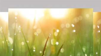 模糊的草地背景与水滴特写慢镜头实拍视频-众图网