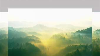 4K航拍唯美清晨森林云雾缭绕 风景视频素材-众图网