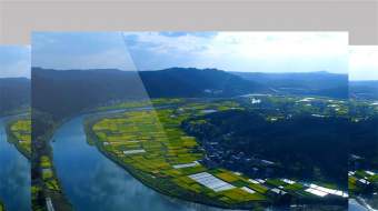 4k航拍乡村农田金黄油菜花自然风景景色视频 风景视频-众图网