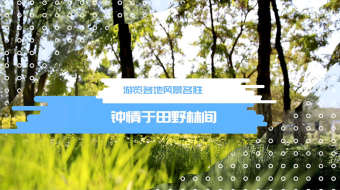 时尚动感笔刷转场幻灯片图文宣传PR模板-众图网