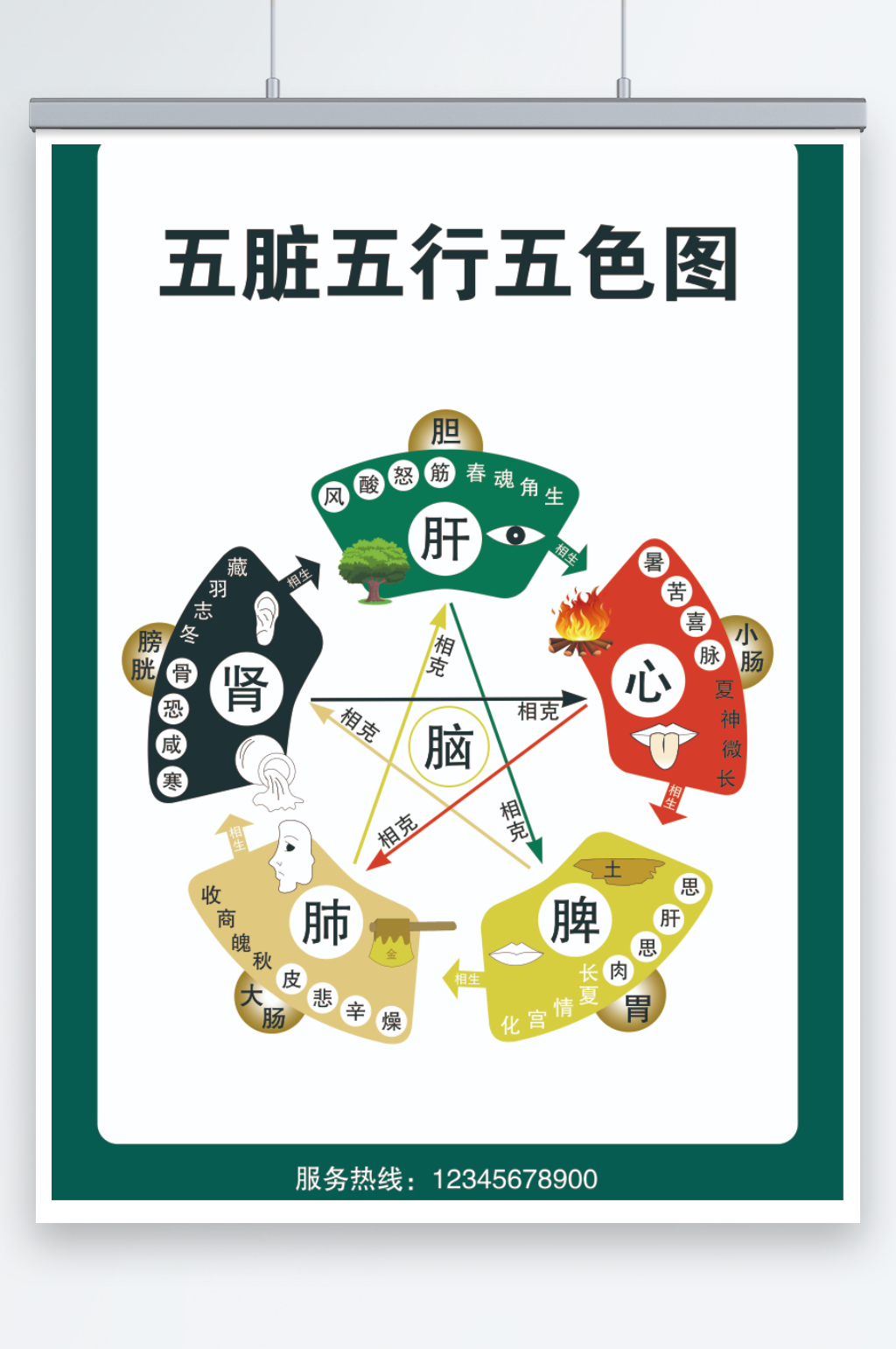 五行无色图中医文化五行养生模板下载-编号5758335-众图网