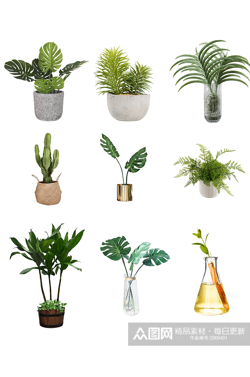 盆栽绿色花瓶植物免抠素材透明png素材