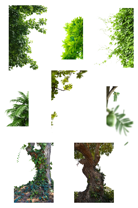 前景绿色树叶场景合成元素png