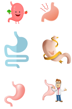 肠胃图器官图卡通肠胃png