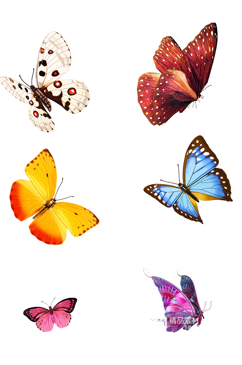 蝴蝶透明图片素材免抠png素材
