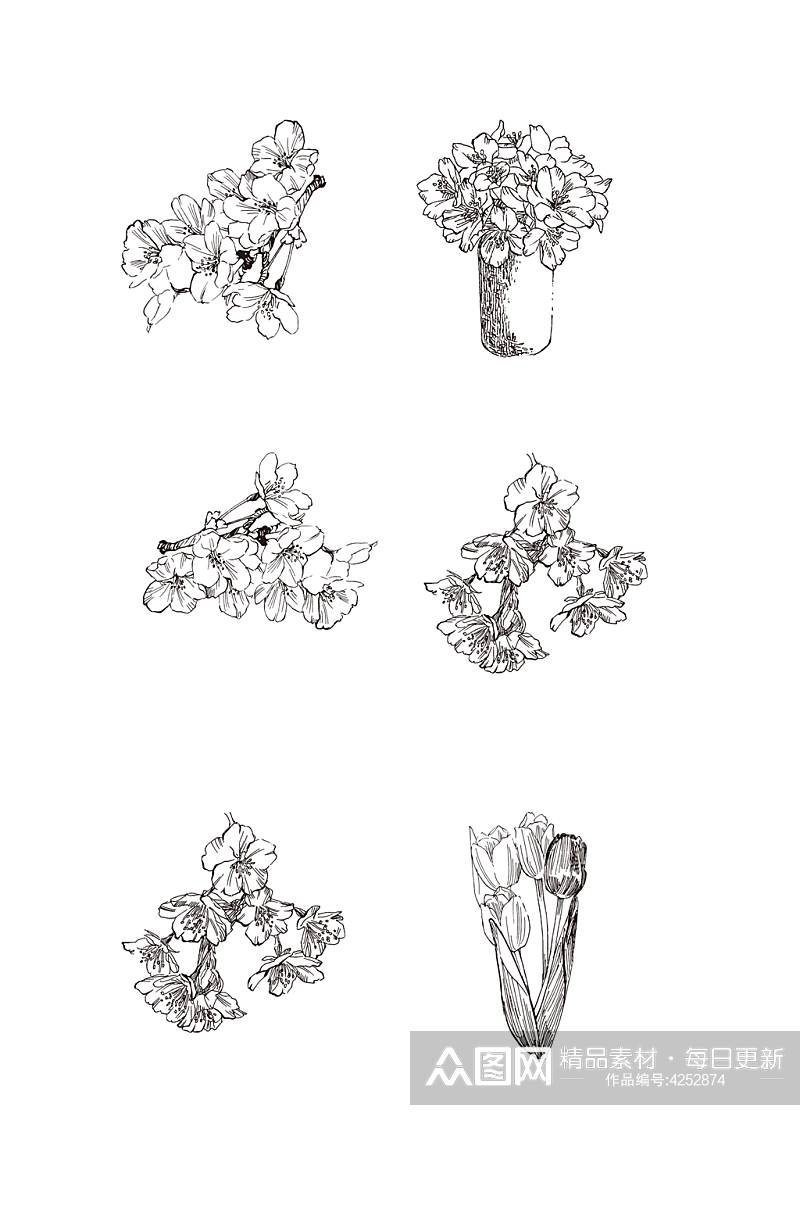 樱花线稿素描手绘植物花png素材