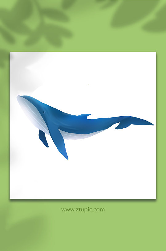 蓝色鲸鱼插画素材_蓝色鲸鱼插画模板_蓝色鲸鱼插画设计图片免费下载