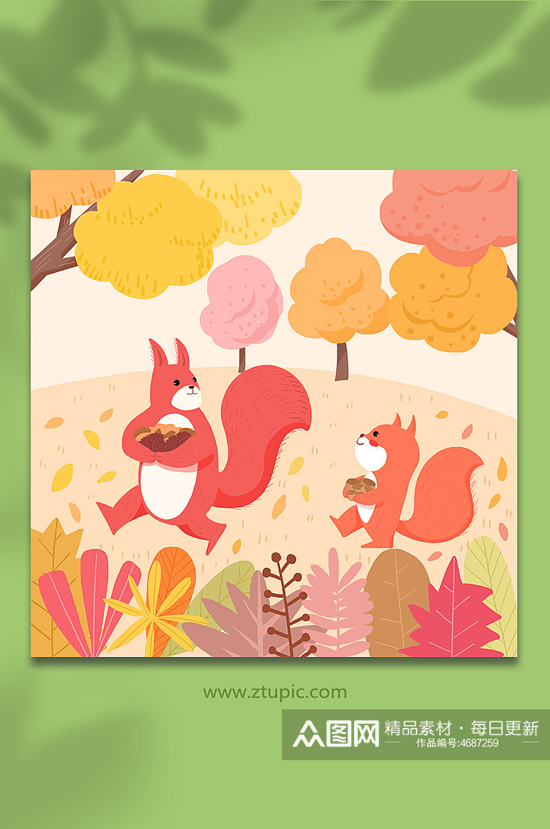 扁平化风格小松鼠秋季动物插画素材