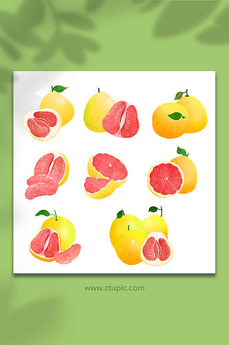 水彩手绘冬季柚子水果元素插画