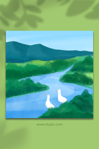 江河野生动物湿地保护元素插画背景图