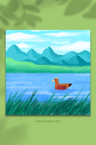 山林湖水湿地保护元素插画背景图