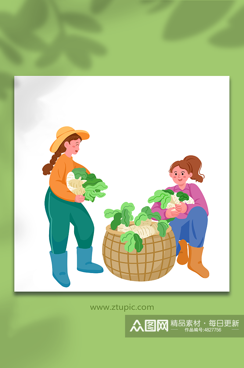 采摘萝卜农民劳动农耕种植人物元素插画素材