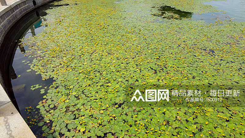 山东聊城东昌湖风景航拍素材