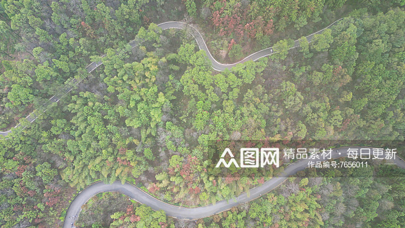 大自然绿色植物森林蜿蜒盘山公路云雾缭绕航素材