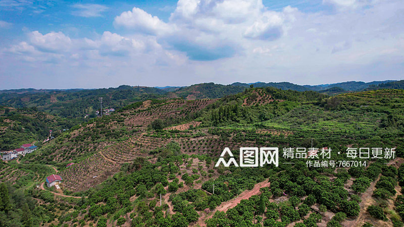 山川丘陵水果种植水果基地航拍图素材