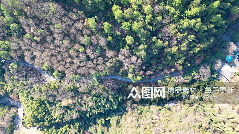 大自然山川丘陵高山森林植物航拍图素材