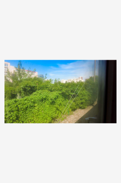 交通运输火车沿途火车窗外风景