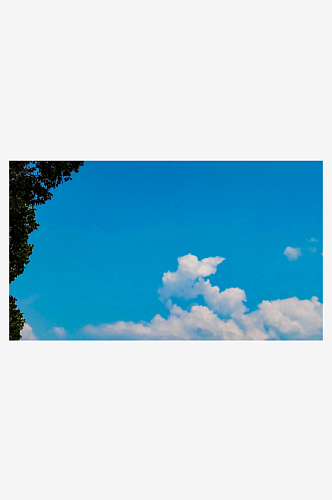 夏日风景蓝天白云荷花荷叶风吹树枝实拍