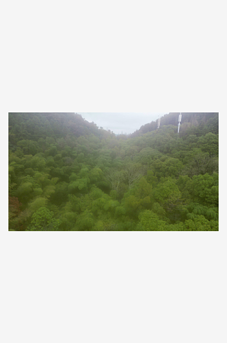 大自然绿色植物森林蜿蜒盘山公路云雾缭绕