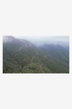 大自然绿色植物森林蜿蜒盘山公路云雾缭绕航