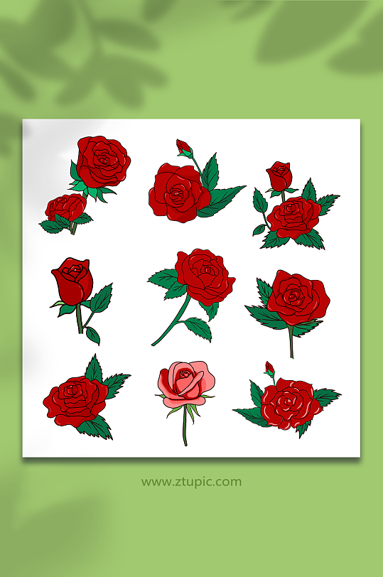 玫瑰花手绘鲜花玫瑰花插画元素