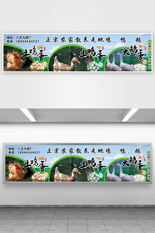 农家走地鸡土鸭子大鹅土鸡蛋促销广告-众图网