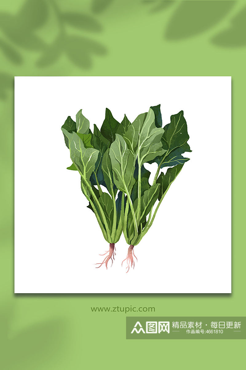 菠菜卡通蔬菜元素插画素材