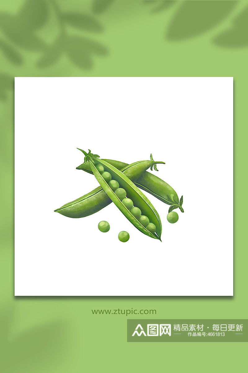 豌豆卡通蔬菜元素插画素材