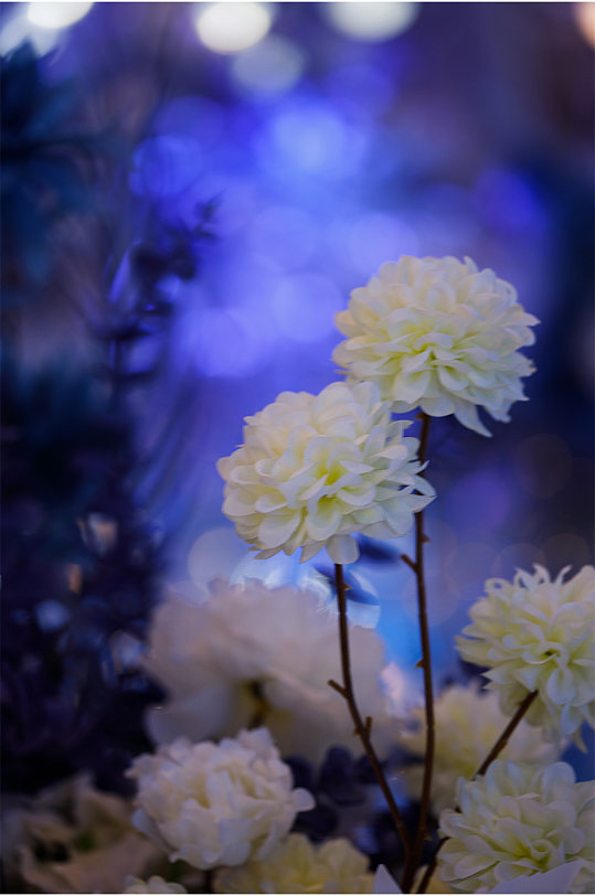 藍(lán)色大氣婚禮現(xiàn)場(chǎng)花藝照片