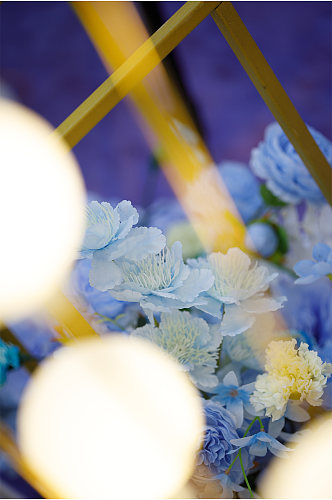 蓝色大气婚礼苹果灯花艺装饰照片