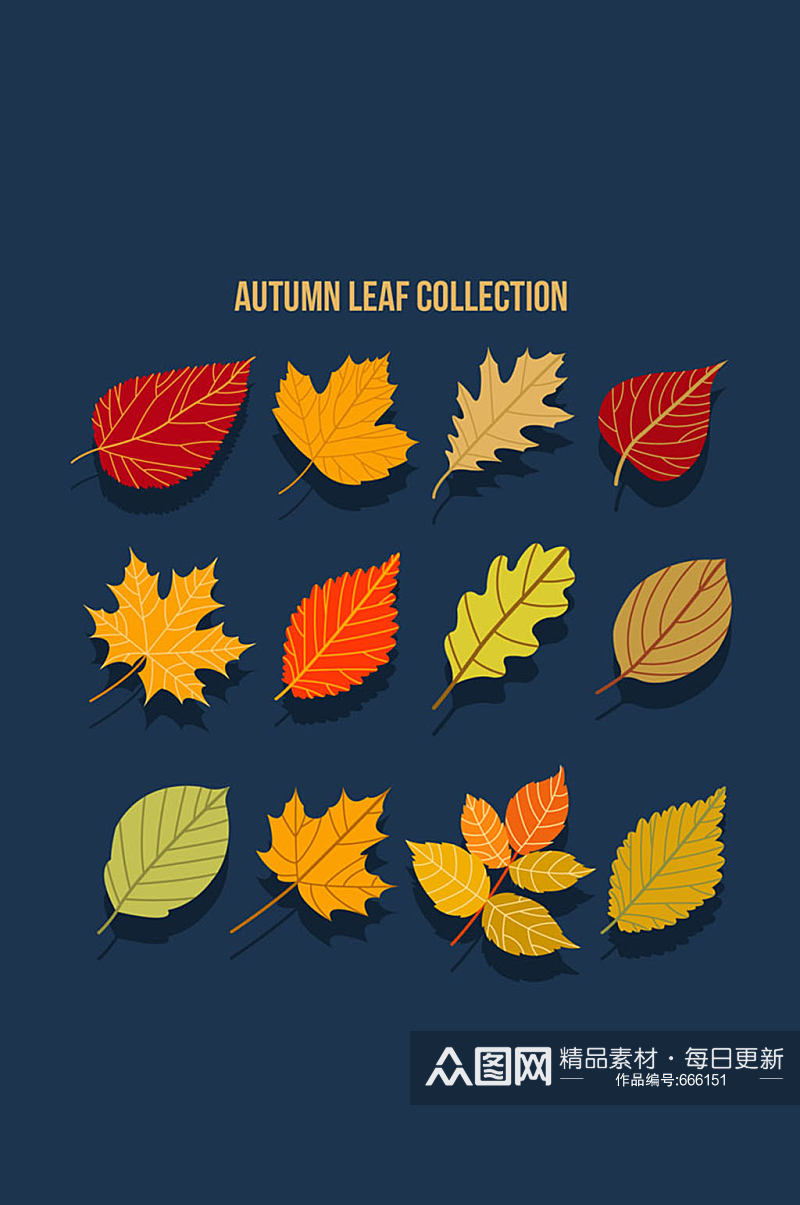 12款美丽秋季树叶矢量素材素材