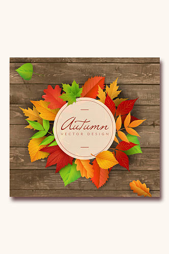 彩色秋季叶子装饰标签矢量素材