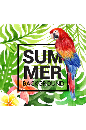 夏季热带鹦鹉和花草矢量素材
