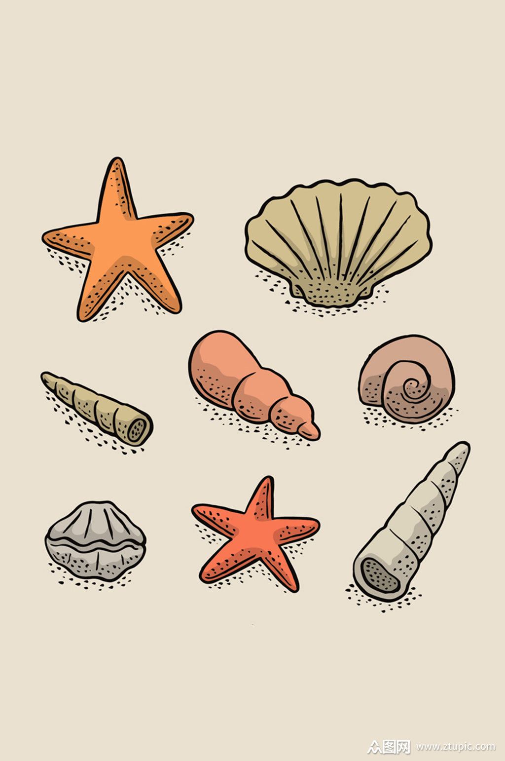 贝壳卡通画海星