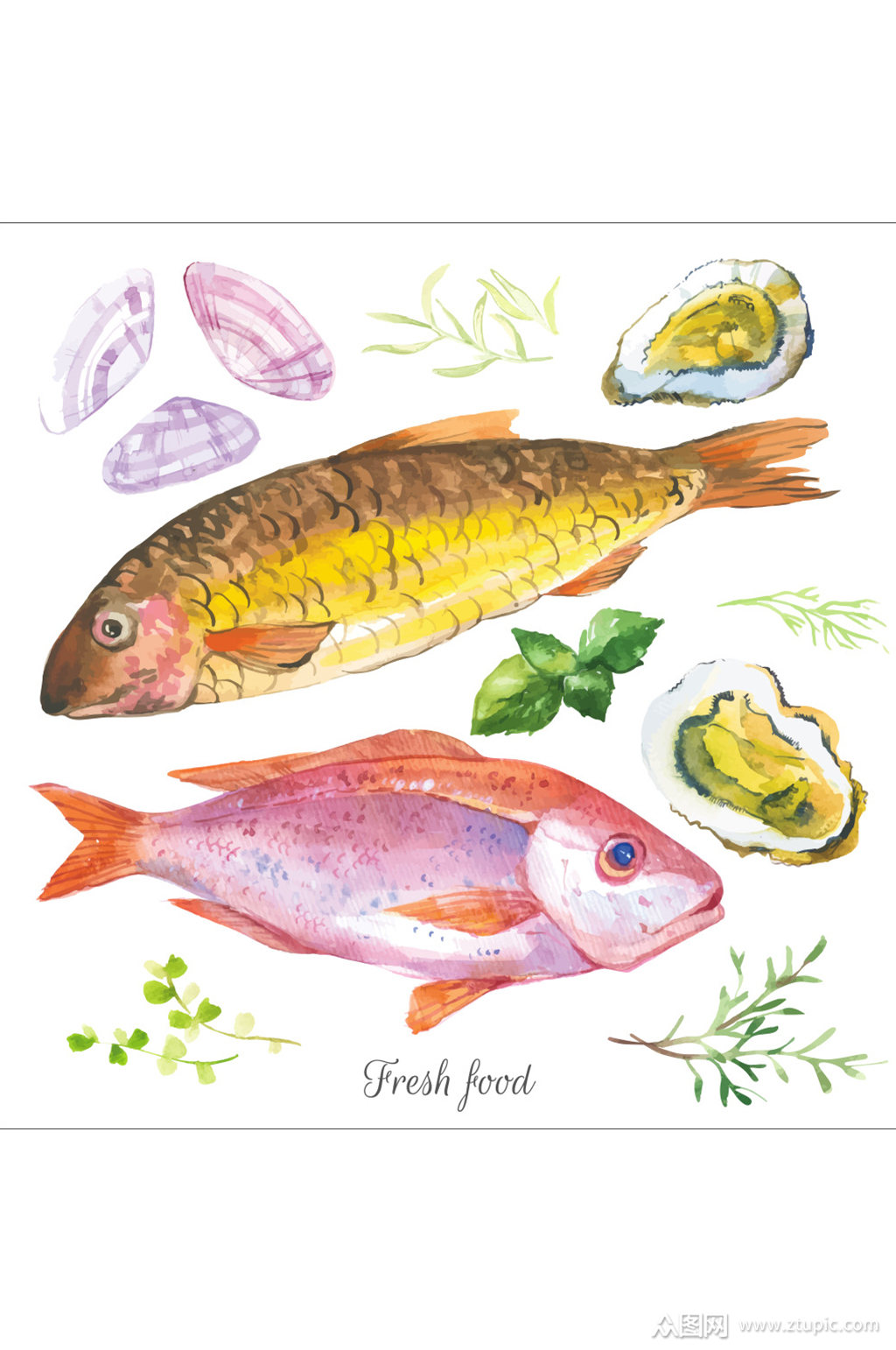 水彩绘新鲜的海鲜插画