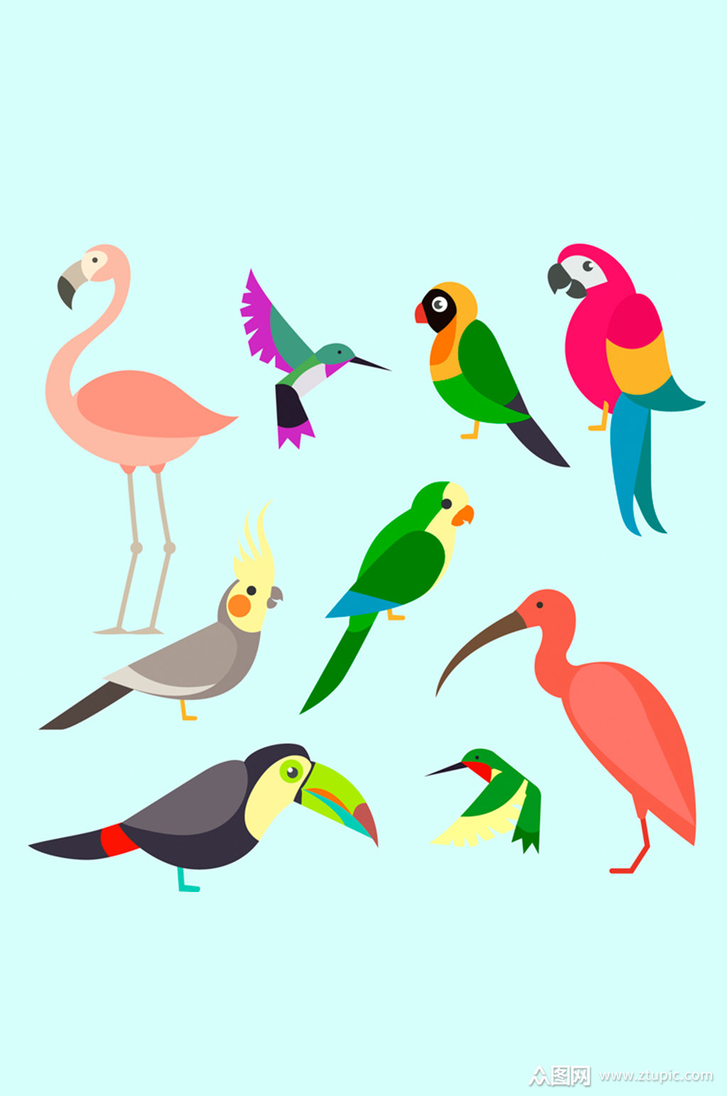 7款彩色鸟类设计矢量素材