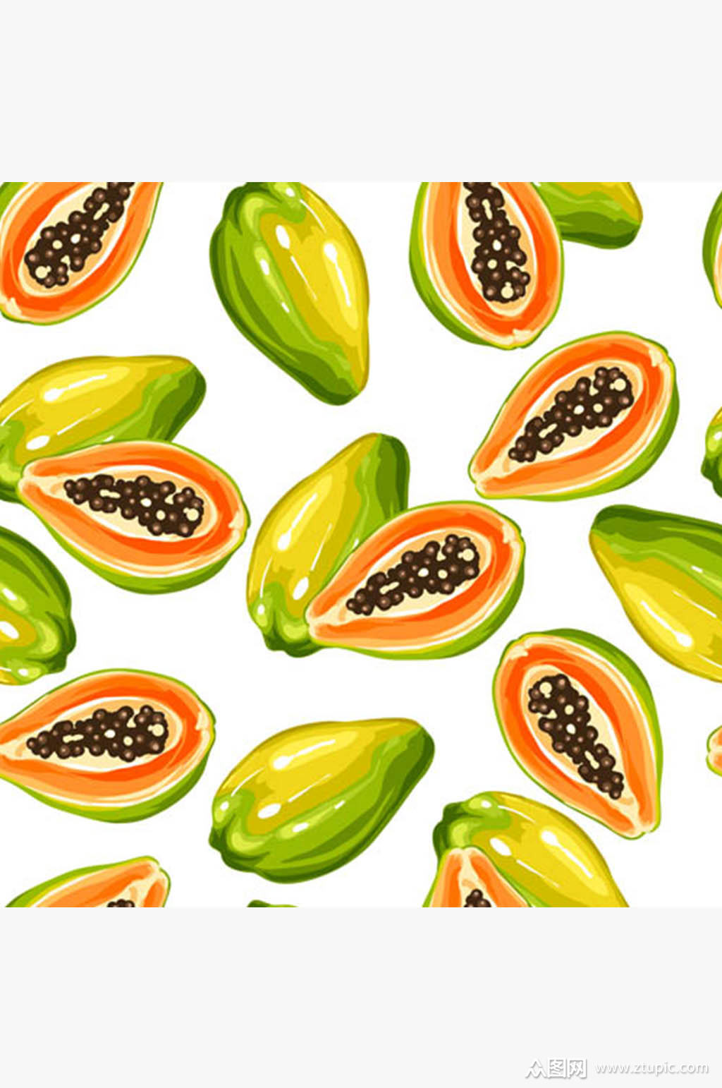 精美手绘木瓜矢量素材