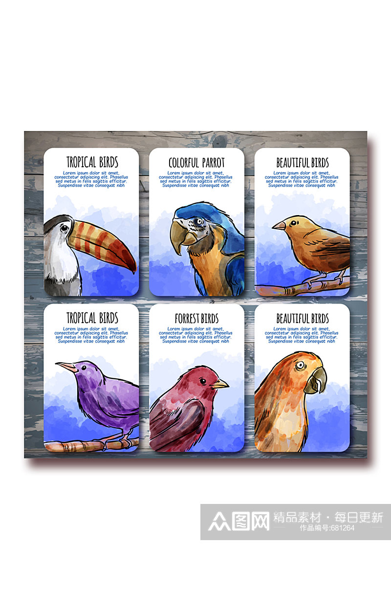 6款彩绘鸟类卡片矢量素材素材