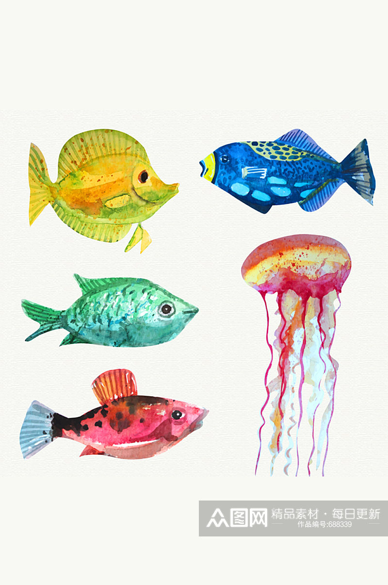 5款水彩绘海洋生物矢量素材素材
