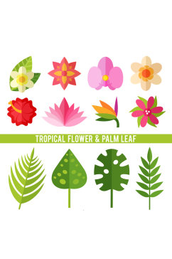 12款热带植物花卉和叶子矢量素材