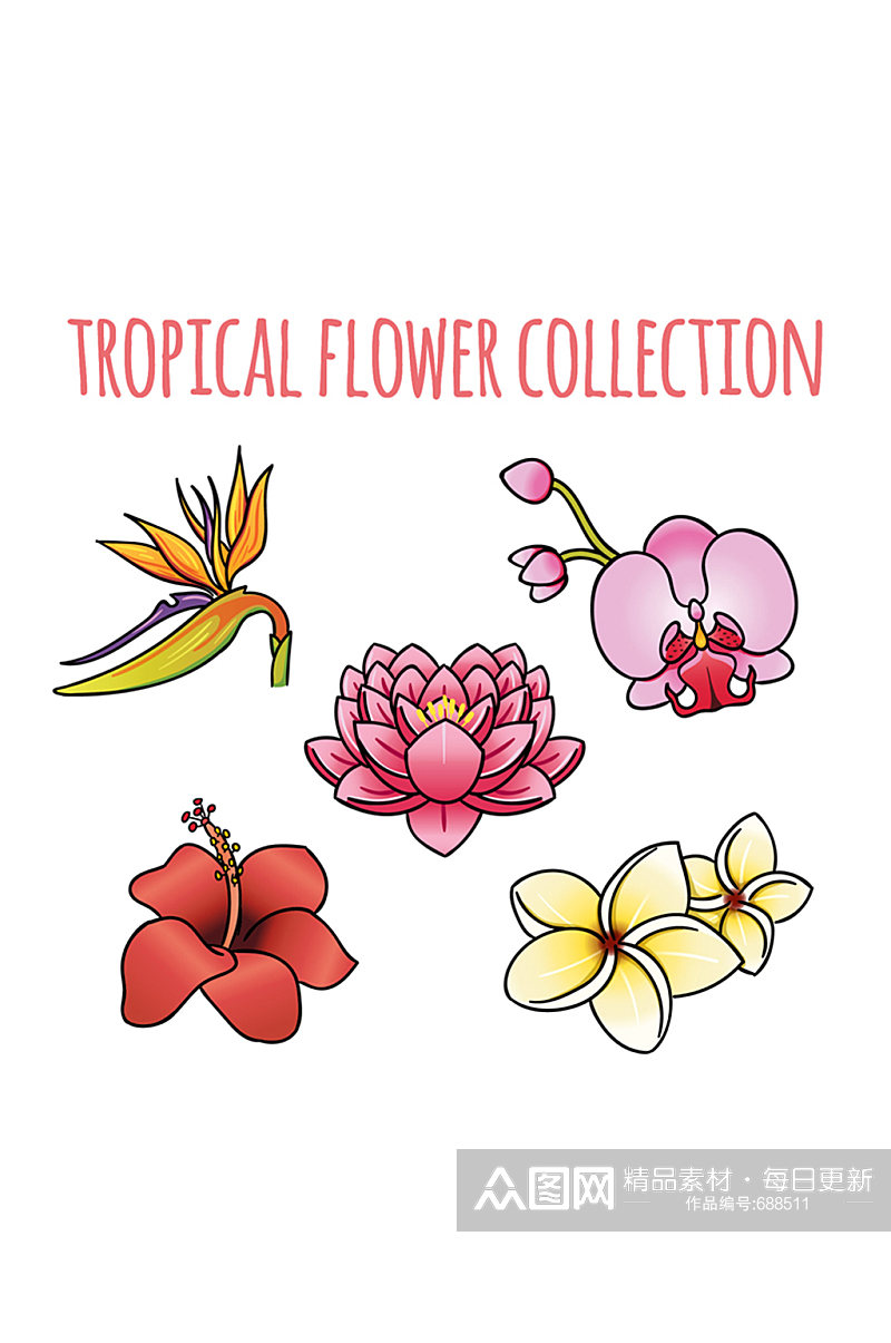 5款卡通热带花卉矢量素材素材