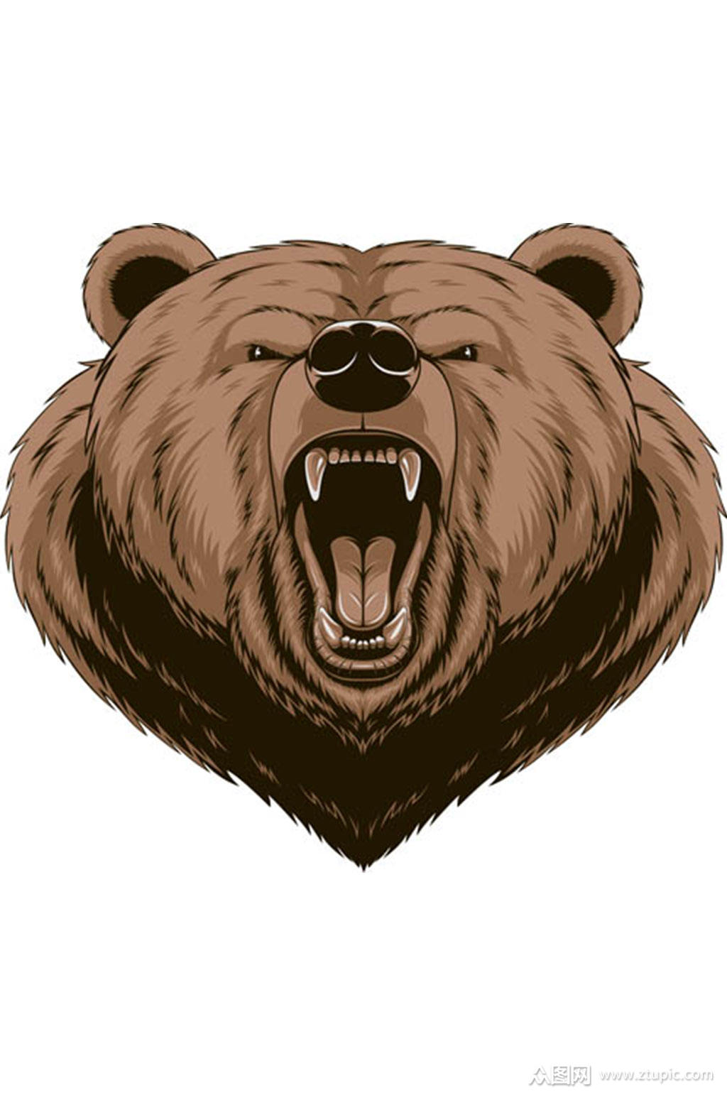 手绘熊头像矢量素材