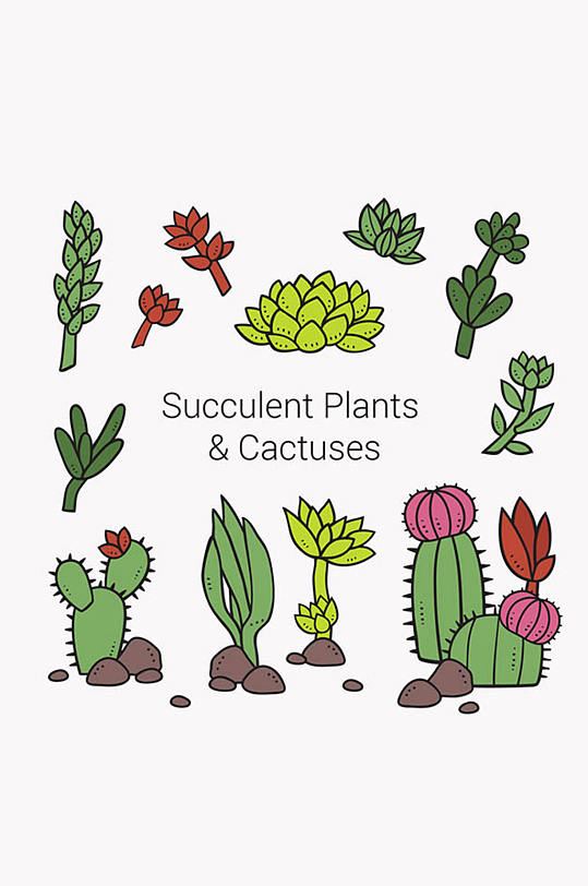11款卡通多肉植物设计矢量素材