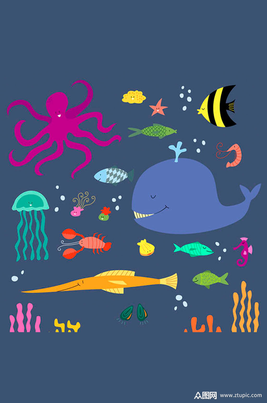 19款海洋动植物矢量素材