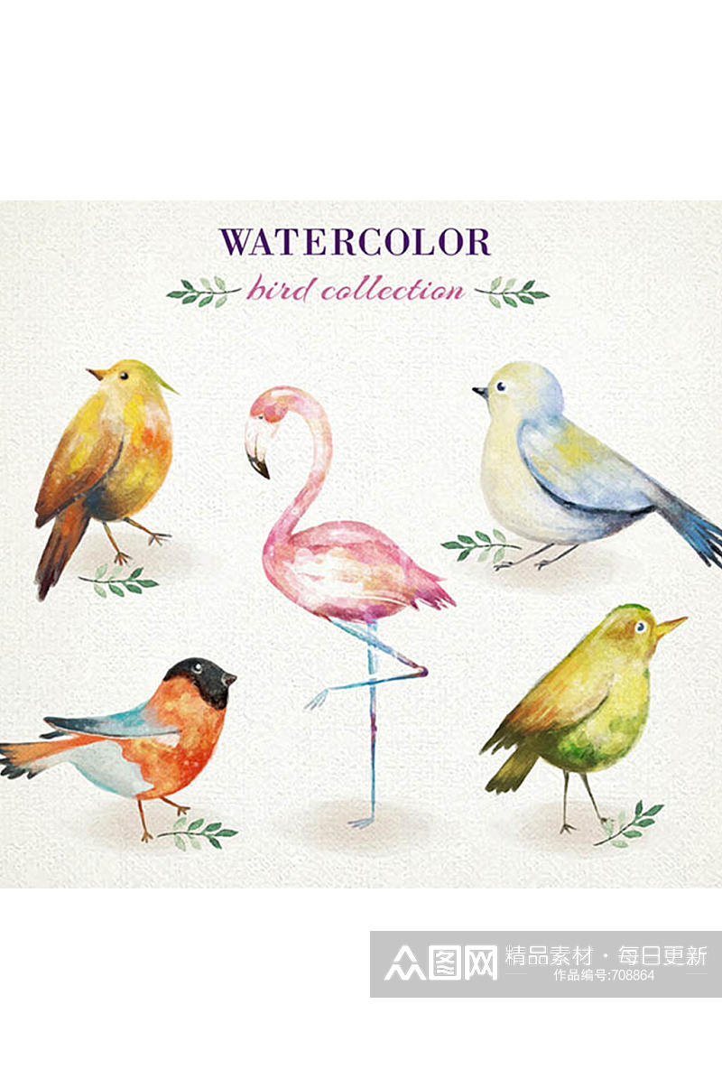 5款水彩绘鸟类设计矢量素材素材