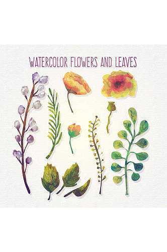 11款水彩绘花朵和叶子矢量素材