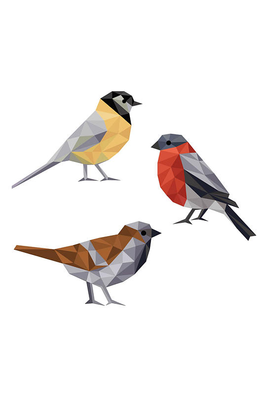 鸟类创意设计元素素材立即下载彩色精美动物鸟类创意设计元素素材彩色